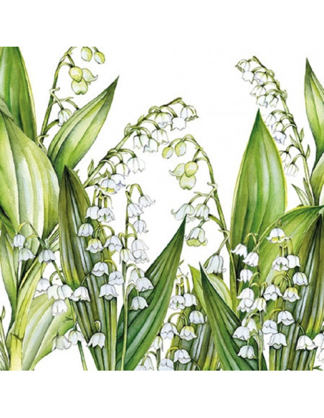 TOVAGLIOLI ELEGANCE SWEET LILY 25X25...