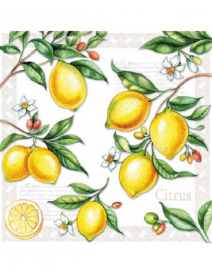 TOVAGLIOLI CITRUS 33X33