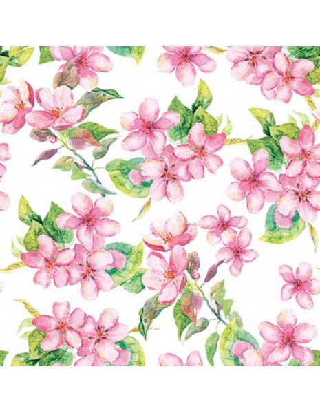 TOVAGLIOLI CHERRY BLOSSOM ROSE 33X33
