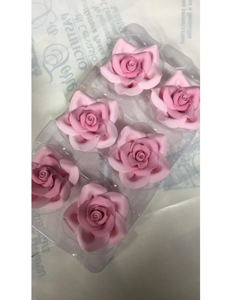 ROSA GRANDE ROSA