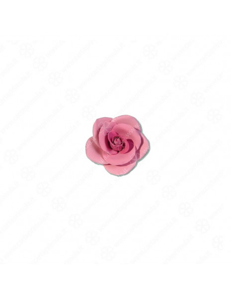 ROSA - GRANDE - ROSA