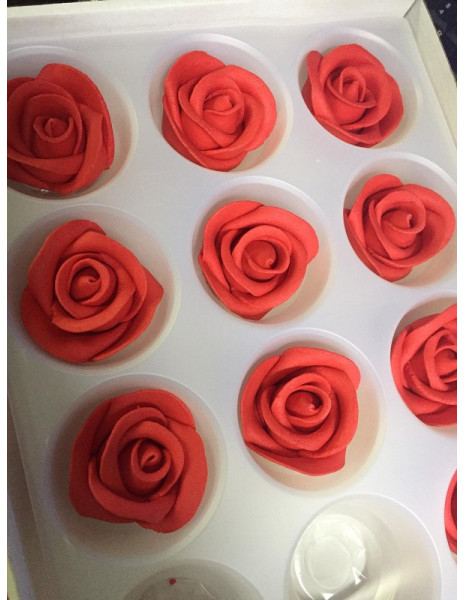 ROSA MEDIA ROSSA SFUSA