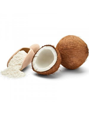 FARINA DI COCCO  GR 500