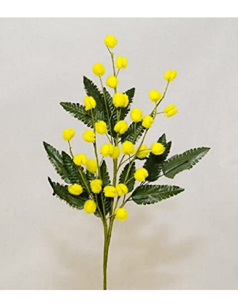 RAMOSCELLO MIMOSA 55cm