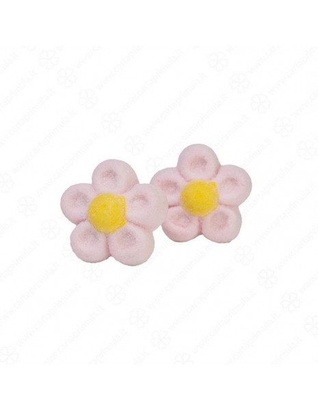 MARSHMALLOW - MARGHERITE - 900g - ROSA