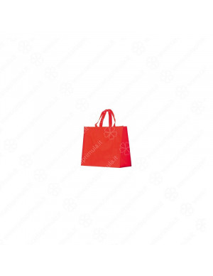 BORSA - IN TNT - 30x23x10...