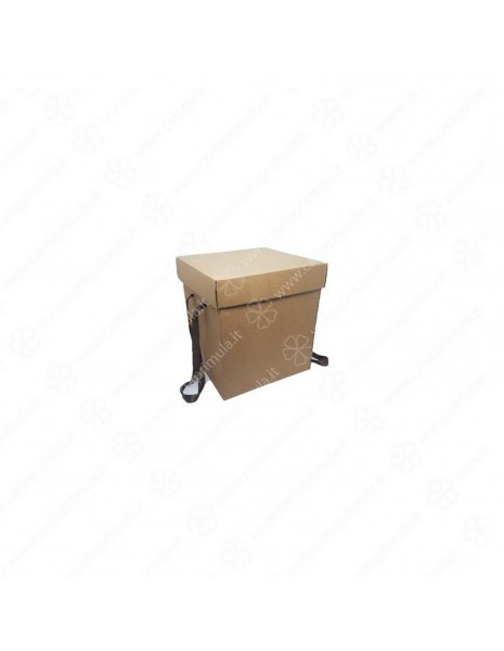 SCATOLO PANDORO CUBE BASSO 25x25 h20...