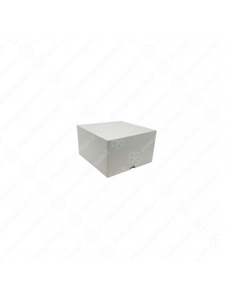 SCATOLA - A CERNIERA - 21x21xh10 -...