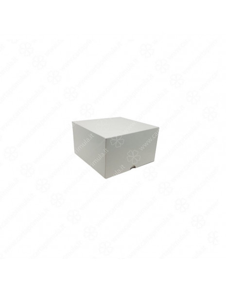 SCATOLA - A CERNIERA - 23x23xh10 -...