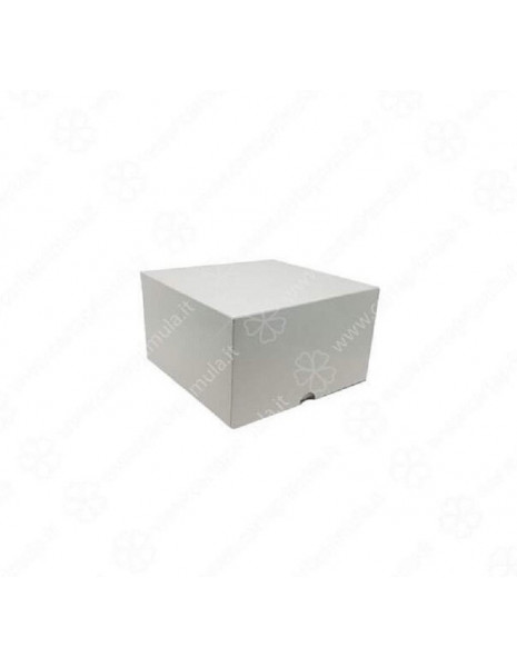 SCATOLA - A CERNIERA - 25x25xh10 -...