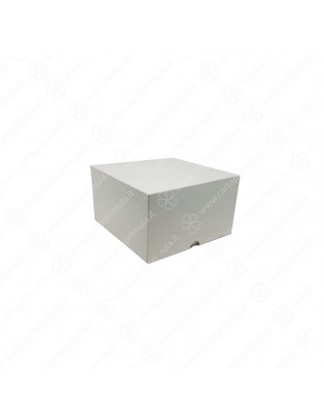 SCATOLA - A CERNIERA - 29x29xh10 -...