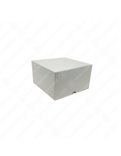 SCATOLA - A CERNIERA - 31x31xh10 -...