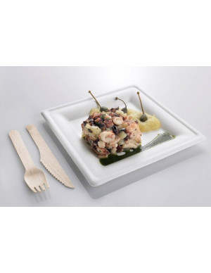 PIATTO PIANO BIODEGRADABILE...