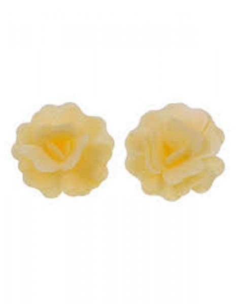 GARDENIA DI CIALDA GIALLO PZ 2