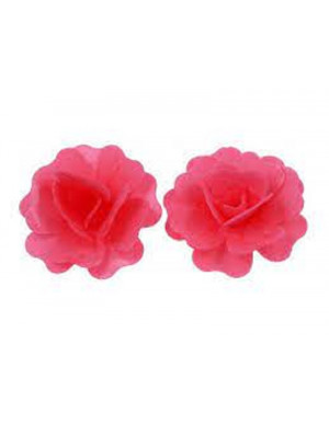 GARDENIA DI CIALDA ROSSO PZ 5