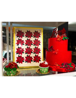 STELLE DI NATALE IN OSTIA...