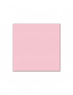 TOVAGLIOLI ROSA pz.50