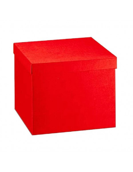 SCATOLA 300X300X240 ROSSA 