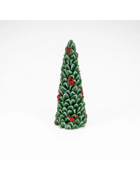 CANDELA ALBERO C/BACCHE CM15