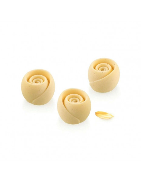 STAMPO IN SILICONE ROSE GIVRE 30...