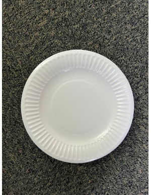 PIATTO BIODEGRADABILE...