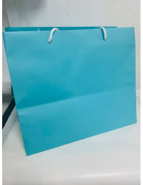 SHOPPERS P/COLOMBA 1KG ACQUA MARINA...
