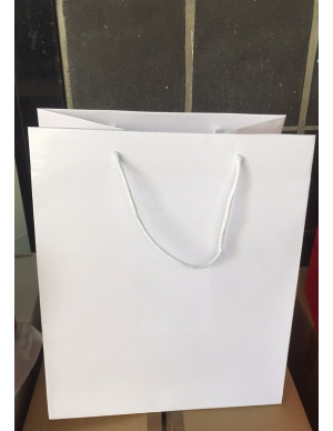 BUSTE PANETTONE BIANCO PL...