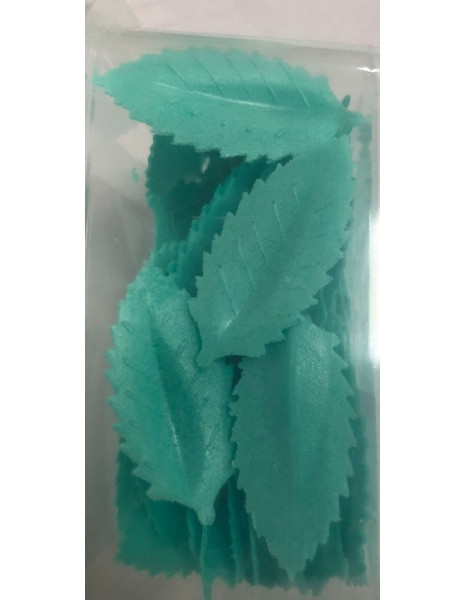 FOGLIA VERDE OSTIA PZ 100
