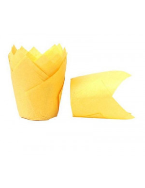 TULIP 50 GIALLO PZ 20