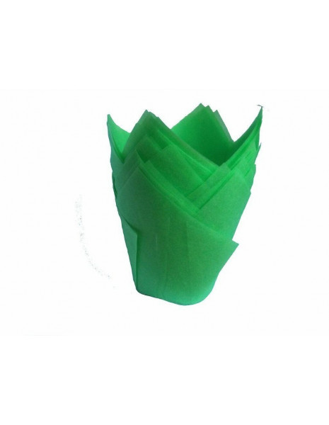 TULIP 50 VERDE PZ 20