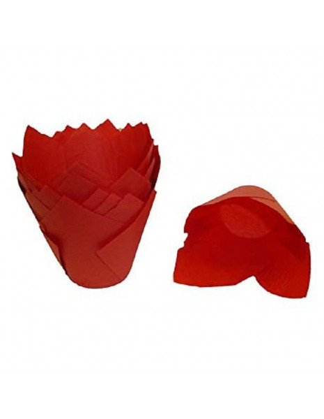 TULIP 50 ROSSO PZ 20