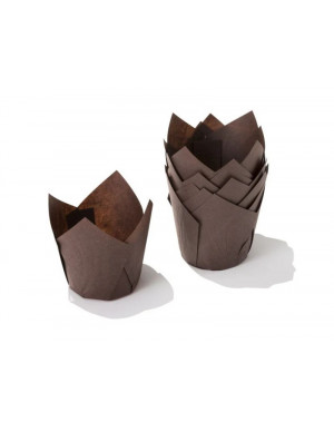 TULIP 50 MARRONE PZ 20