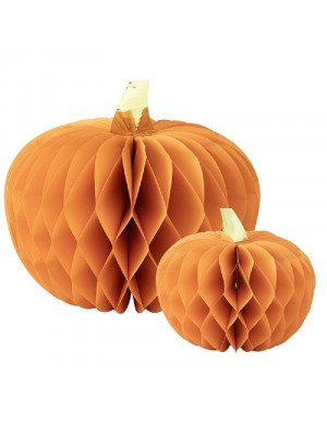 CF 2  ZUCCHE IN CARTA CM 20...