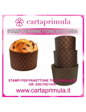 PANETTONE ALTO ONDA  GR 500...