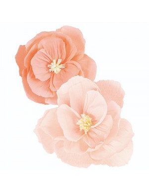 PZ 2 FIORI IN CARTA...