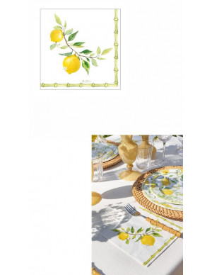 TOVAGLIOLI 33X33 PZ 16...